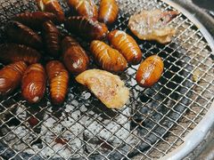 -燚青春东北泥炉烤肉(百合店)