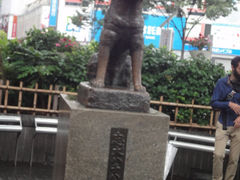 -涩谷区