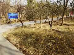 -云岗森林公园