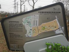 -桤木河湿地公园