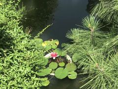 -南京市民俗博物馆(甘熙故居)