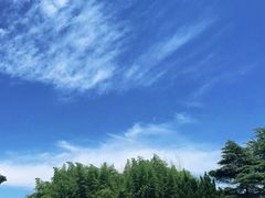 -嘉北郊野公园
