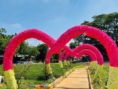 -松山湖梦幻百花洲