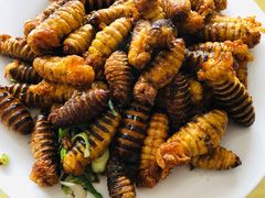 -华龙特色大骨鸡农家菜馆