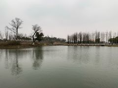 -滆湖低碳生态公园