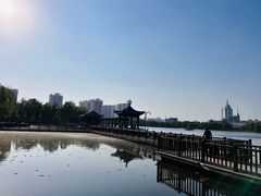 -莲花池公园