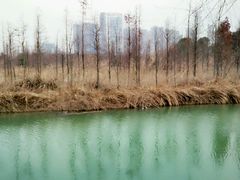 -艾溪湖湿地公园