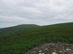 -恋山坝上草原