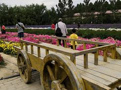 -霍尔果斯国门景区