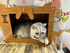 -小时光咖啡馆(北锣鼓巷店)