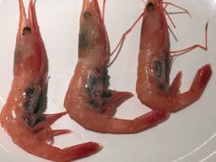 -加餐海鲜自助(宝龙一城店)