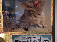 -龙猫仔乐园(惠福东路店)