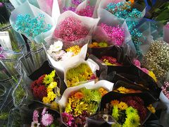 -秦美花卉(天朗·莱茵小城2期店)