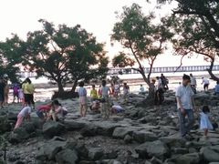 -宝安西湾红树林湿地公园