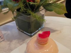 玫瑰草莓芝士蛋糕-PAUL LAFAYET 法式甜品(港汇广场店)
