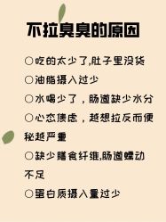 -Fundi张玉珊修身堂·indiba·BTL科技瘦身