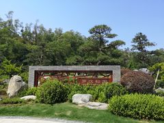 -深圳仙湖植物园