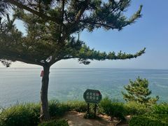 -养马岛旅游度假区