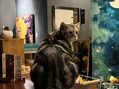 -咖法森林·咖啡  酒吧(天河店)