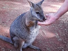 -费瑟代尔野生动物园