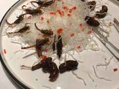 -唐庄·城市温泉(中润大道店)