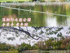 -荔枝公园(福田区)
