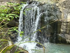 -广州白江湖森林公园