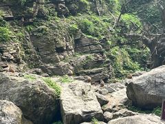 -三峡人家风景区