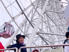 -琴岛之星摩天轮