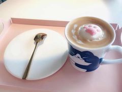 -喵屿·大理花园猫咖