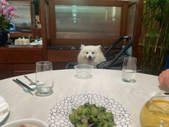 -蝶园·装修中(BFC外滩金融中心店)