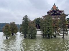 -顺峰山公园