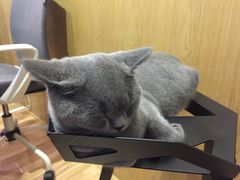 -壹人壹像工作室(购物公园店)