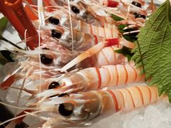 -Mr·Fish鱼鲜生海鲜放题(银泰in99店)