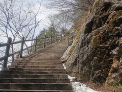 -王顺山国家森林公园