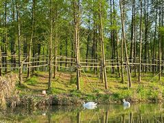 -云碧峰国家森林公园