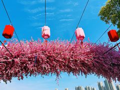 -南汇桃花村