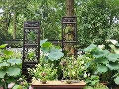 -杭州植物园