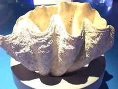 -泉城欧乐堡海洋极地世界