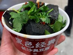 -黑色经典臭豆腐·湖南特产(坡子街店)