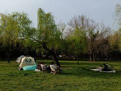 -蜀冈西峰生态公园