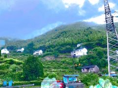 -四明山国家森林公园