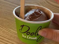 -Dooley's Premium Ice Cream