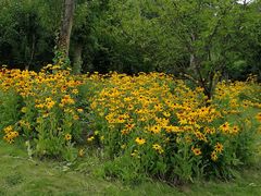 -黄陂区野村谷景区