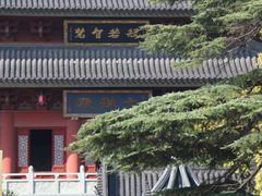 -上海东林寺(金山区)