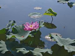 -上海市保健医疗中心