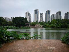 -金山公园