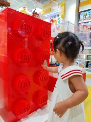 -乐高授权专卖店(万象城店)