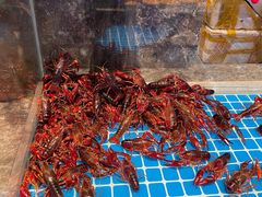 -一方渔歌蒸汽海鲜自助(文化路万达广场店)