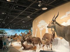 -陕西自然博物馆